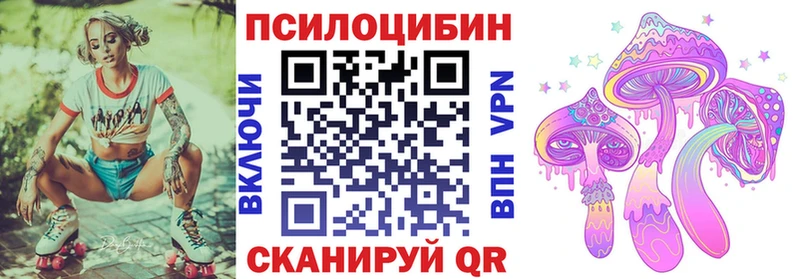 наркота  Мезень  Псилоцибиновые грибы ЛСД 